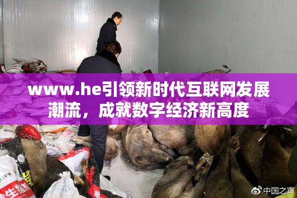 www.he引领新时代互联网发展潮流，成就数字经济新高度