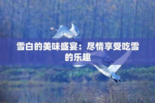 雪白的美味盛宴：尽情享受吃雪的乐趣