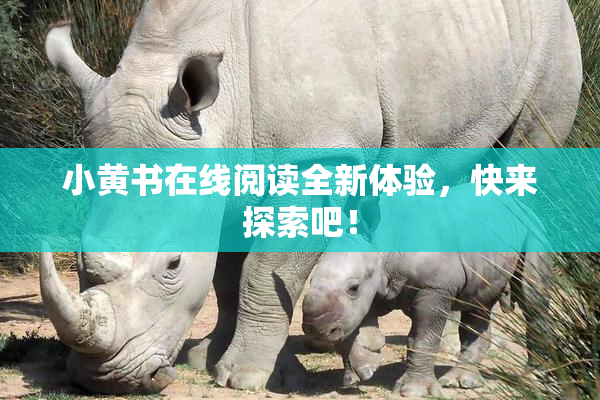 小黄书在线阅读全新体验，快来探索吧！