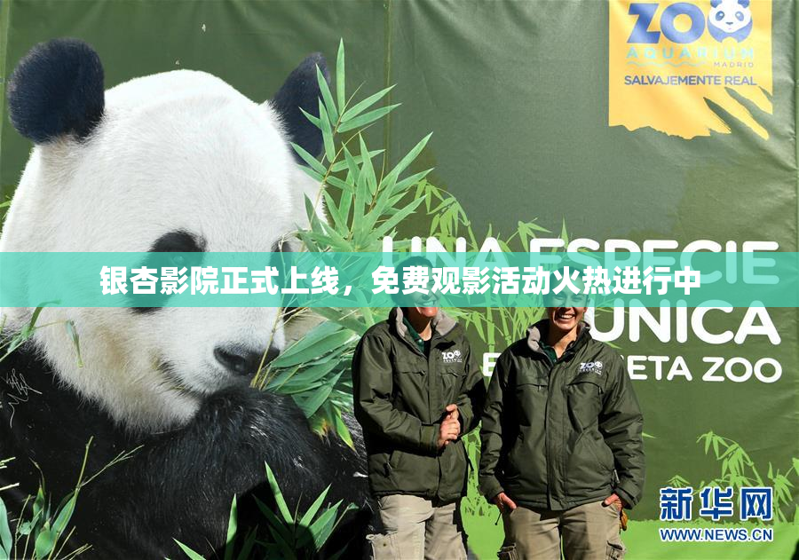 银杏影院正式上线，免费观影活动火热进行中