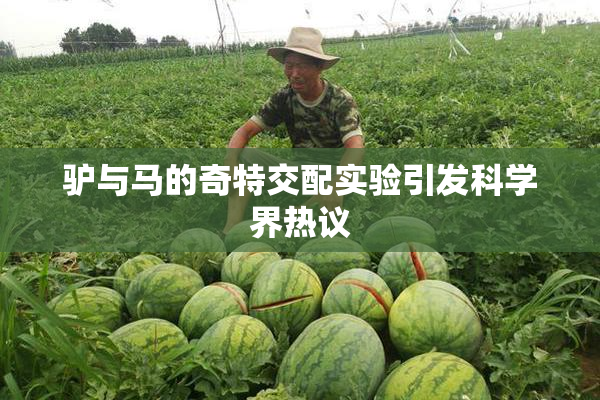 驴与马的奇特交配实验引发科学界热议