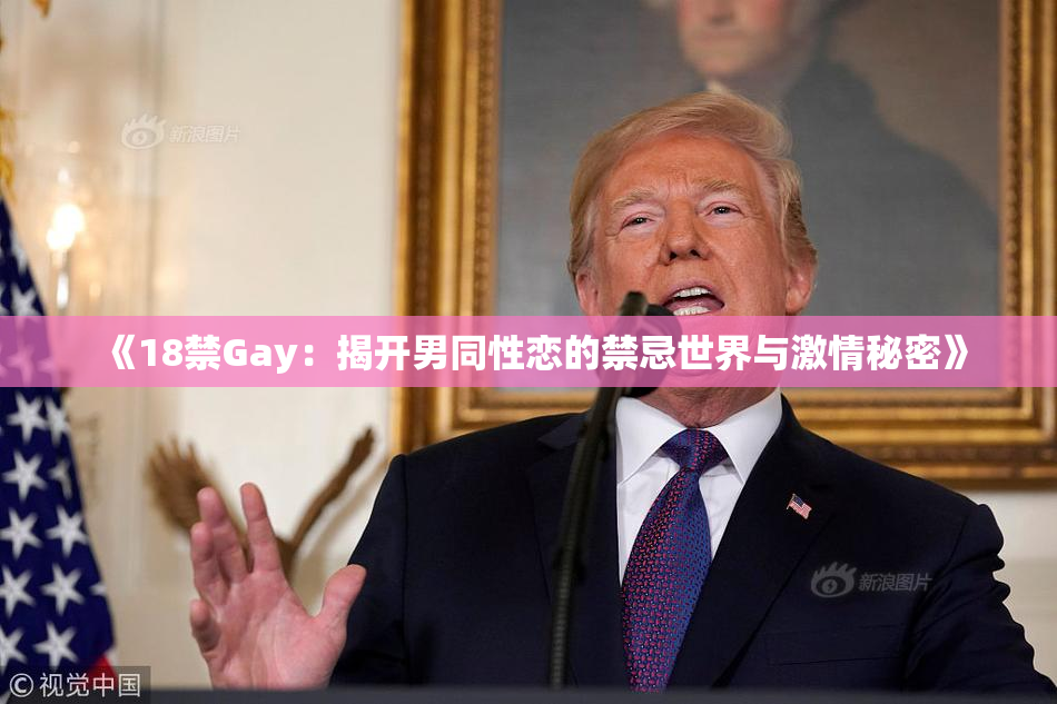 《18禁Gay：揭开男同性恋的禁忌世界与激情秘密》