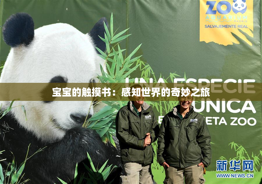 宝宝的触摸书：感知世界的奇妙之旅