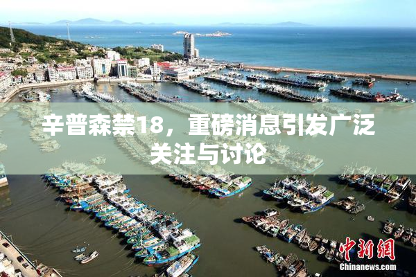 辛普森禁18，重磅消息引发广泛关注与讨论