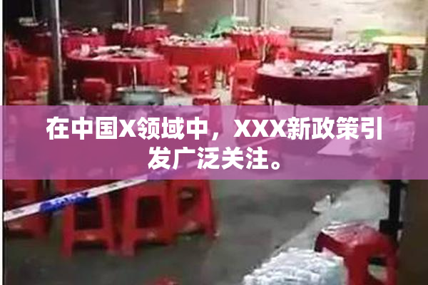 在中国X领域中，XXX新政策引发广泛关注。