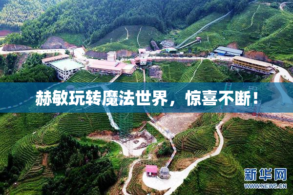 赫敏玩转魔法世界，惊喜不断！