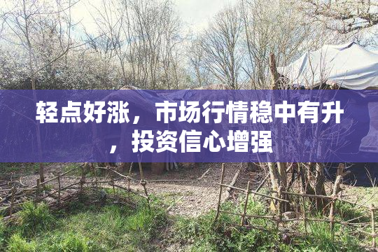 轻点好涨，市场行情稳中有升，投资信心增强