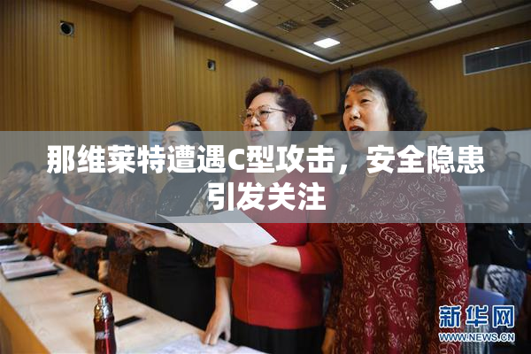 那维莱特遭遇C型攻击，安全隐患引发关注
