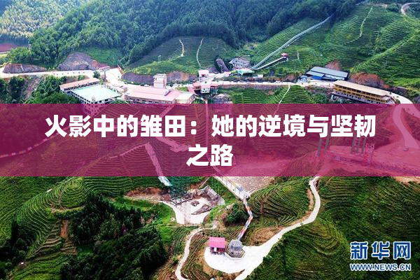 火影中的雏田：她的逆境与坚韧之路