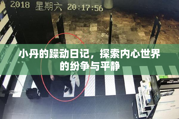 小丹的躁动日记，探索内心世界的纷争与平静