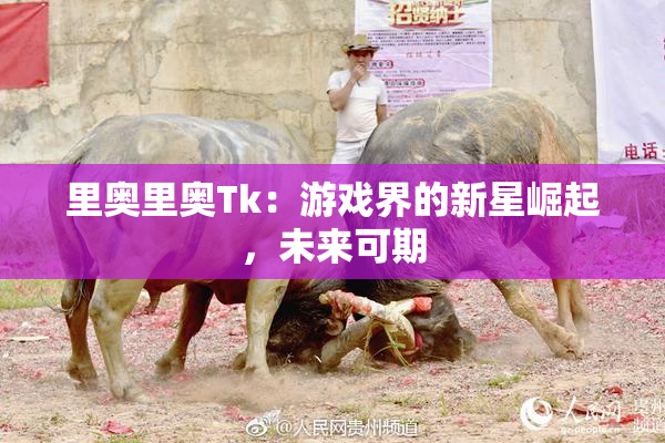 里奥里奥Tk：游戏界的新星崛起，未来可期