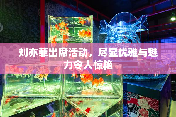 刘亦菲出席活动，尽显优雅与魅力令人惊艳