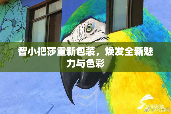 智小把莎重新包装，焕发全新魅力与色彩