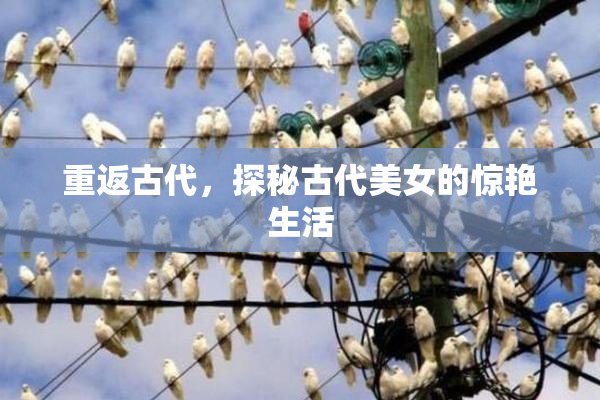 重返古代，探秘古代美女的惊艳生活