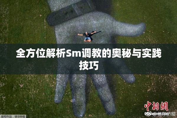 全方位解析Sm调教的奥秘与实践技巧