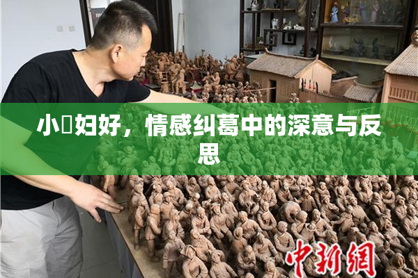 小婬妇好，情感纠葛中的深意与反思
