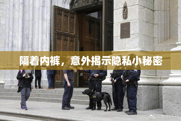 隔着内裤，意外揭示隐私小秘密