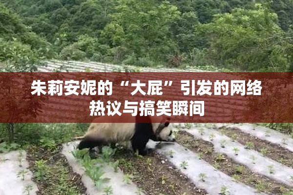 朱莉安妮的“大屁”引发的网络热议与搞笑瞬间