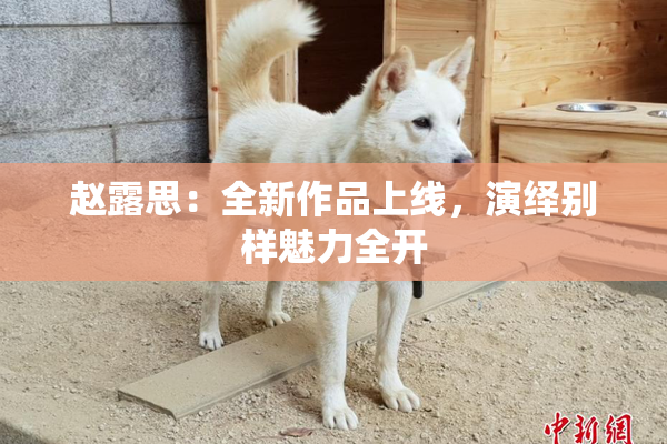 赵露思：全新作品上线，演绎别样魅力全开
