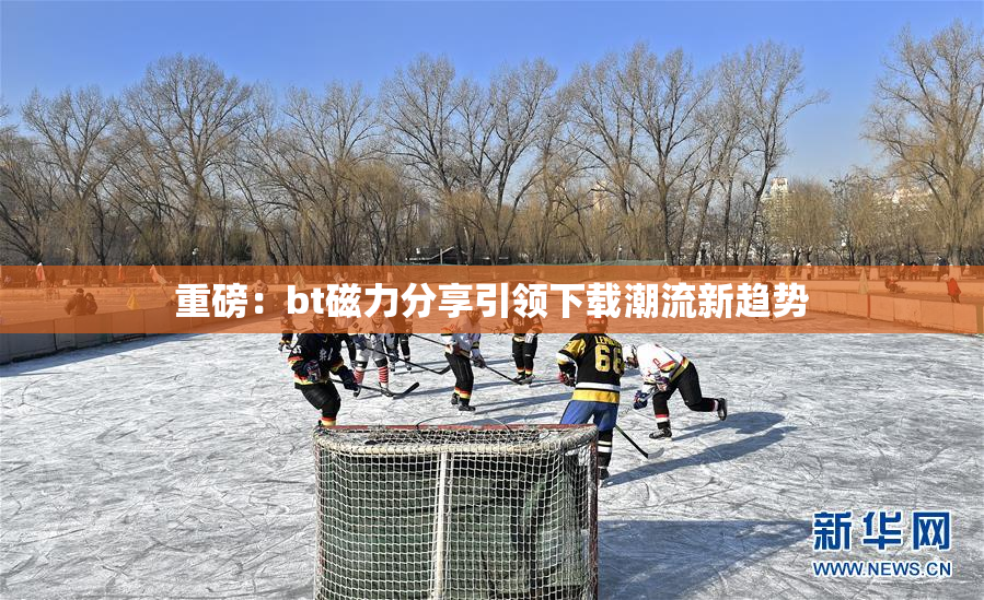 重磅：bt磁力分享引领下载潮流新趋势