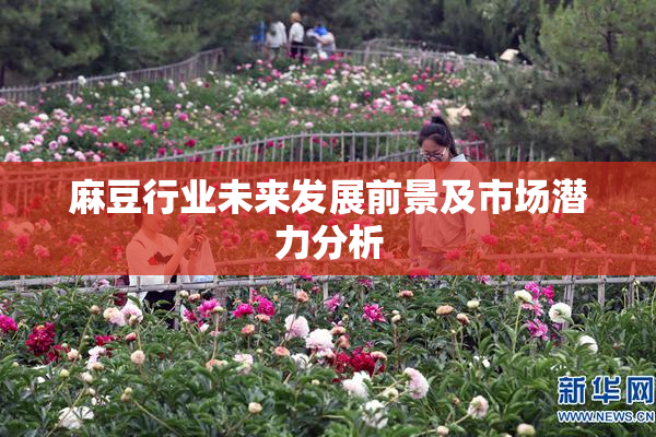 麻豆行业未来发展前景及市场潜力分析