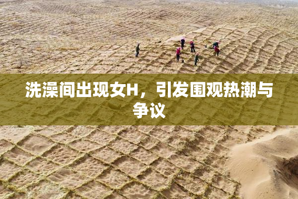 洗澡间出现女H，引发围观热潮与争议