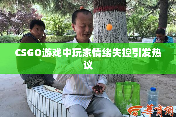 CSGO游戏中玩家情绪失控引发热议