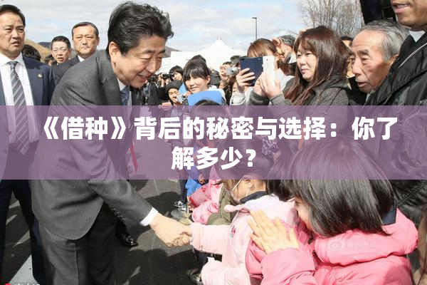 《借种》背后的秘密与选择：你了解多少？