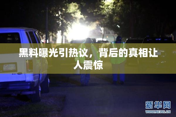 黑料曝光引热议，背后的真相让人震惊