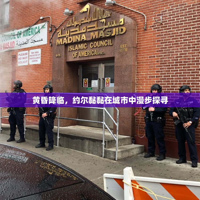 黄昏降临，约尔黏黏在城市中漫步探寻