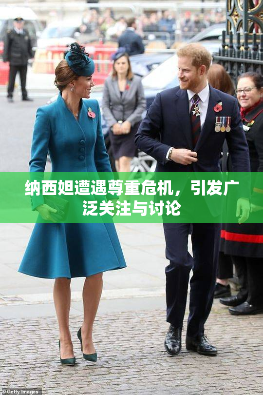 纳西妲遭遇尊重危机，引发广泛关注与讨论