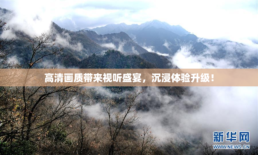 高清画质带来视听盛宴，沉浸体验升级！
