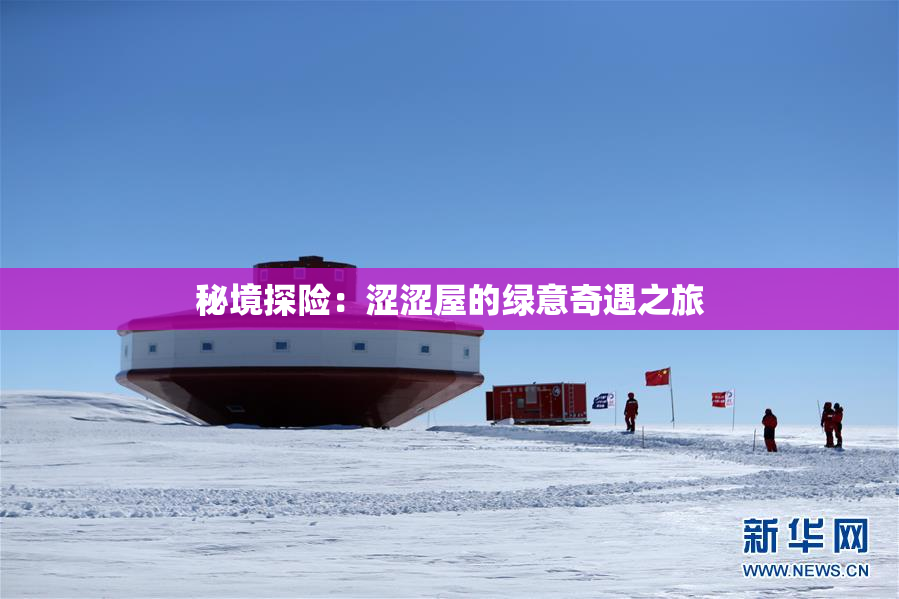 秘境探险：涩涩屋的绿意奇遇之旅
