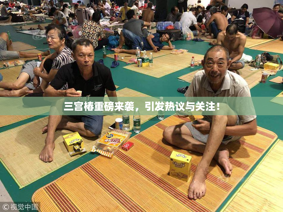 三宫椿重磅来袭，引发热议与关注！