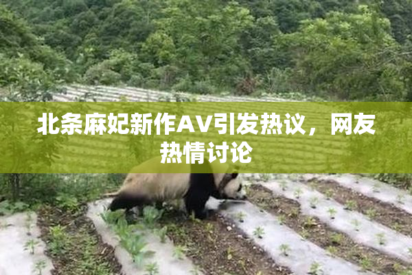 北条麻妃新作AV引发热议，网友热情讨论