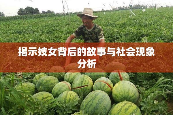 揭示妓女背后的故事与社会现象分析