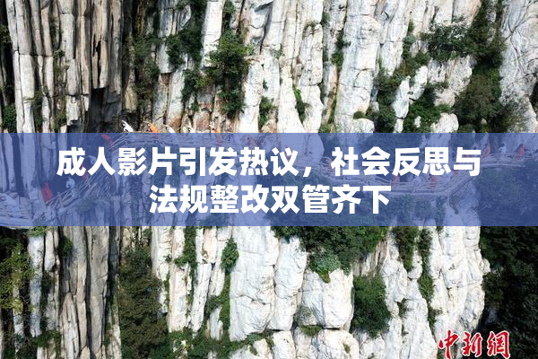 成人影片引发热议，社会反思与法规整改双管齐下