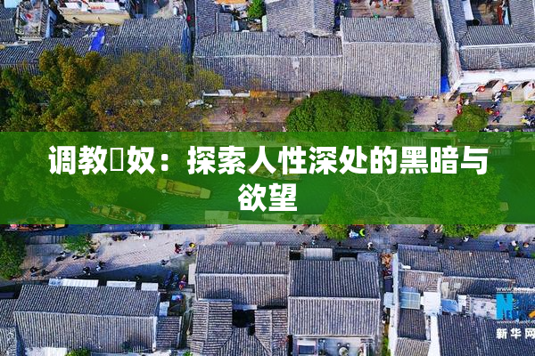 调教婬奴：探索人性深处的黑暗与欲望