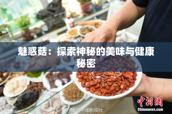 魅惑菇：探索神秘的美味与健康秘密