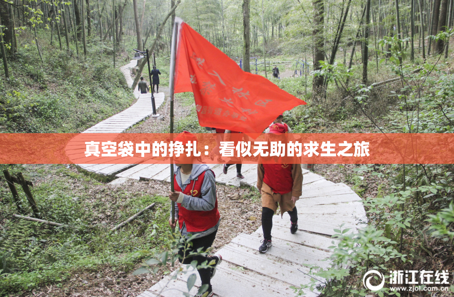 真空袋中的挣扎：看似无助的求生之旅