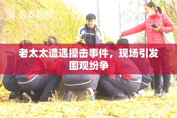 老太太遭遇搡击事件，现场引发围观纷争