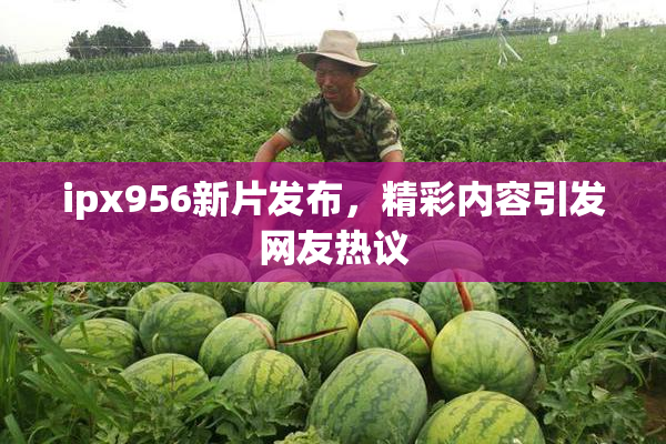 ipx956新片发布，精彩内容引发网友热议