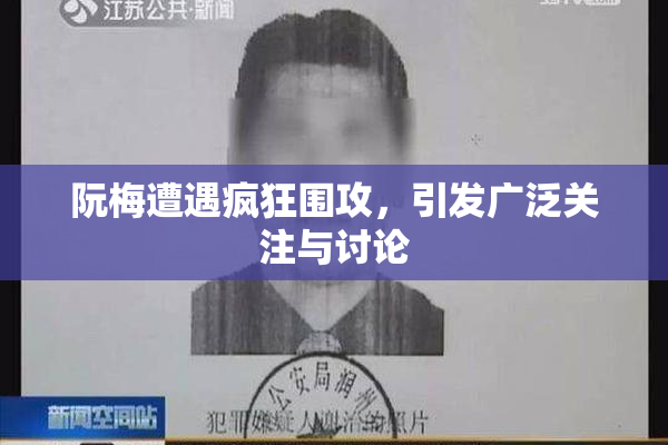 阮梅遭遇疯狂围攻，引发广泛关注与讨论