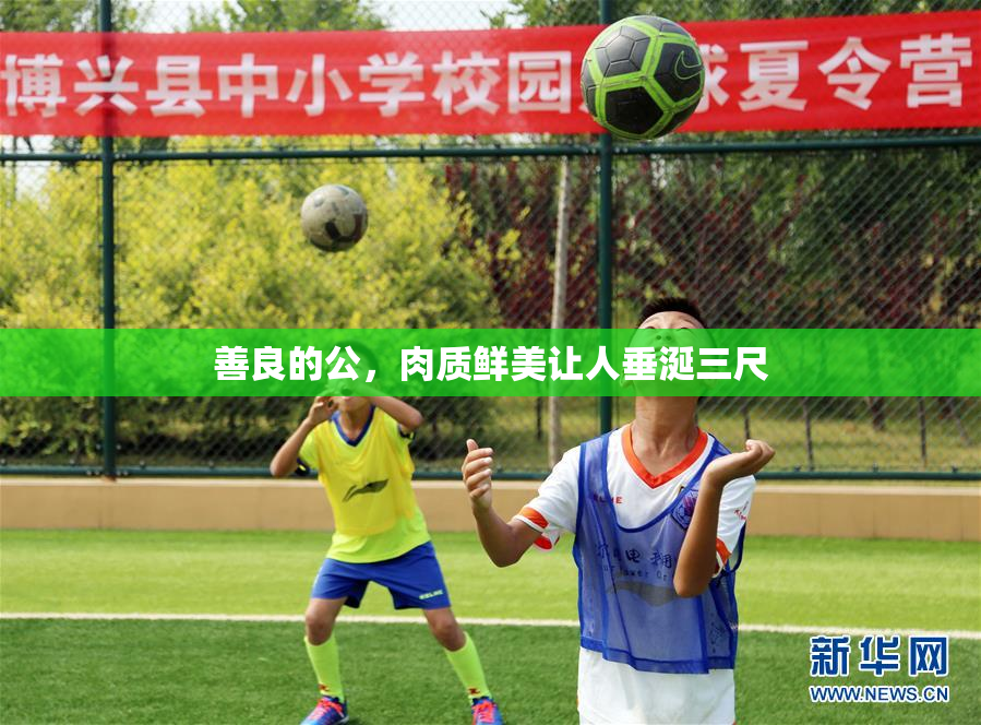 善良的公，肉质鲜美让人垂涎三尺