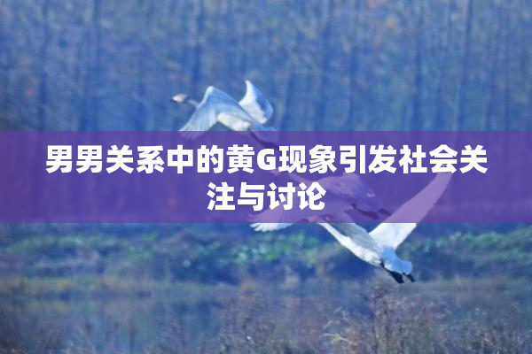 男男关系中的黄G现象引发社会关注与讨论