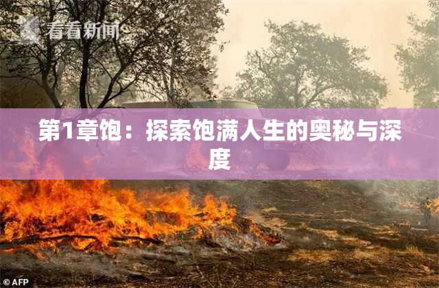 第1章饱：探索饱满人生的奥秘与深度