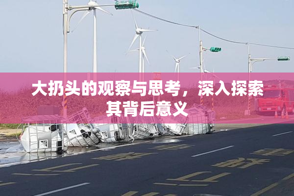 大扔头的观察与思考，深入探索其背后意义