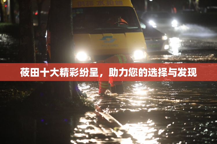 莜田十大精彩纷呈，助力您的选择与发现