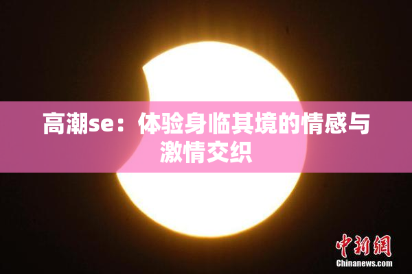 高潮se：体验身临其境的情感与激情交织