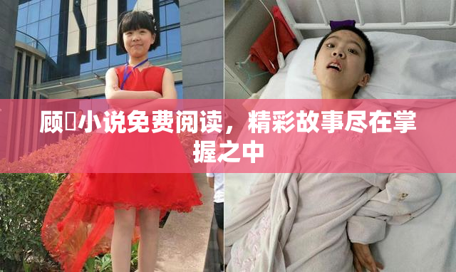 顾嫚小说免费阅读，精彩故事尽在掌握之中
